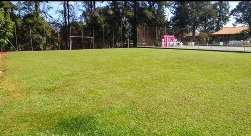Imagem 15 de 30 de Chácara 5990m2 Casa Sede,hospede,caseiro,salão De Jogos,mesa Sinuca,ping Pong,piscina Adulto/infantil,playground,quiosque,quadra Areia, - Ch00094 - 69589986