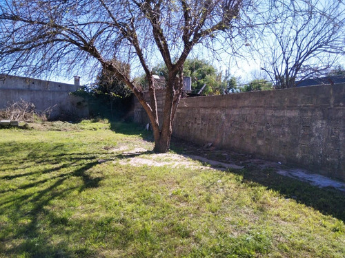 Joaquín Suarez Y Gallinal