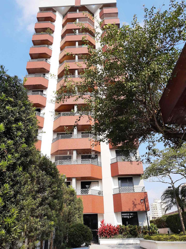 Imagem 1 de 30 de Excelente Apartamento À Venda Na Vila Mascote - Ap00138 - 69333473