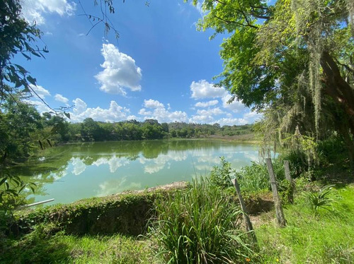 Venta Rancho 99 Hectareas Ocotepec Tihuatlan Veracruz