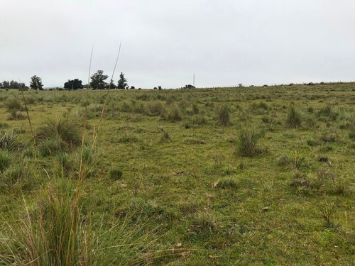 Buen Campo De 14.5 Has Proximas A Aigua - Cañada Y Monte