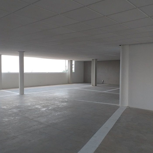 Oficina En Renta Milenio Iii Queretaro Piso 1
