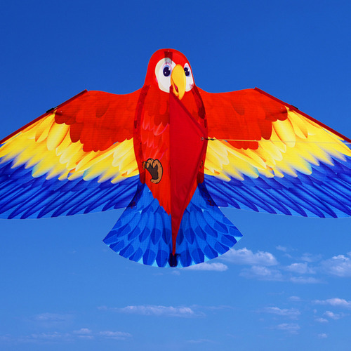 Cometa Con Forma De Loro 3d Para Diversión En La Playa