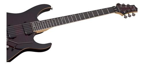 Guitarra Electrica Schecter Banshee A 6 Floyd Rose Tbb