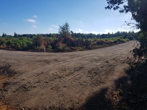 Parcelas En Loteo Hacienda San Ignacio - 25 Min De Chillan