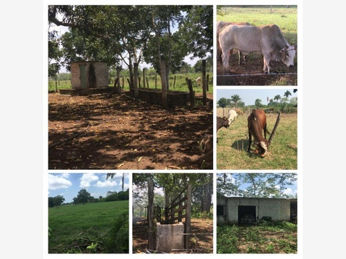 Imagen 1 de 12 de Rancho En Venta Potrerillo