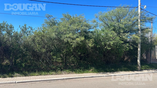 Terreno En Venta / Carpintería - San Luis