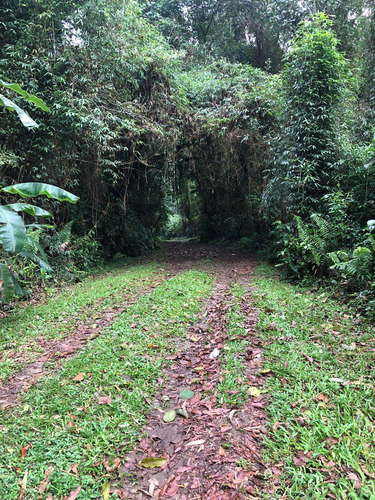 Imagem 4 de 9 de Excelente Área 9.313m2 Com Beleza Natural, Fronteira Com Rio Cachoeira Grande, Apropriada Para Hotel Luxo, Clínica De Repouso, Clube - Vt304