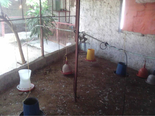 Imagen 11 de 12 de Excelente Granja En Venta