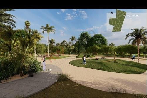 Imagen 9 de 18 de Terrenos Residenciales A La Venta En Santa Clara, Costa Esmeralda, Yucatán.
