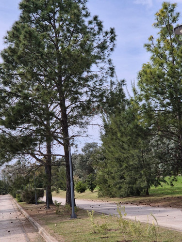 Lote En Venta St Thomas Centro Sector Golf -canning- Consultar Financiación-