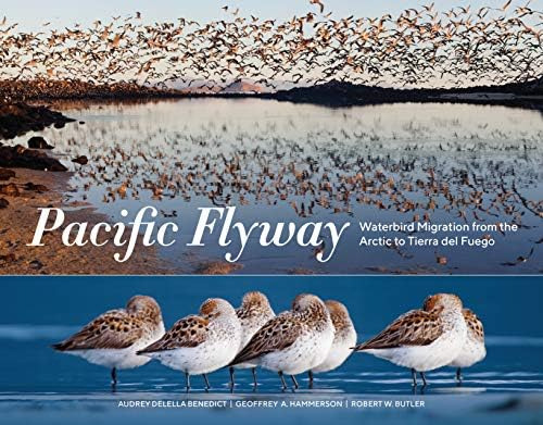 Pacific Flyway: Waterbird From The Arctic To Tierra Del Fuego, De Benedict, Audrey Delella. Editorial Sasquatch Books, Tapa Blanda En Inglés