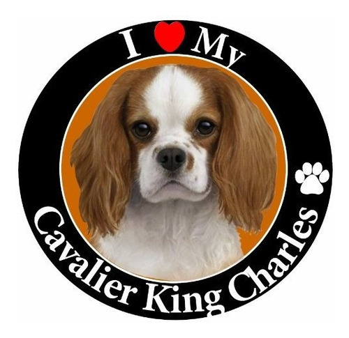 Imán Para Coche  I Love My King Charles Cavalier  Con Fotogr