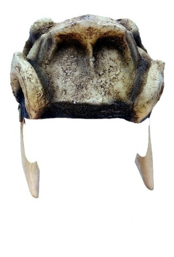 Máscara De Tigre Dientes De Sable Cráneo Animales Gorro