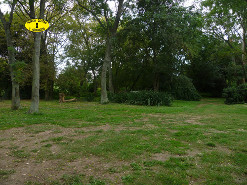 Imagen 24 de 29 de 1554ml-venta 20 Ha, C/ Casa En La Mejor Zona Polera