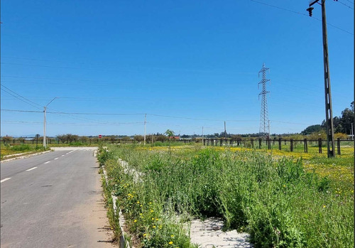 Parcela En Venta En Lago Colbún Machicura