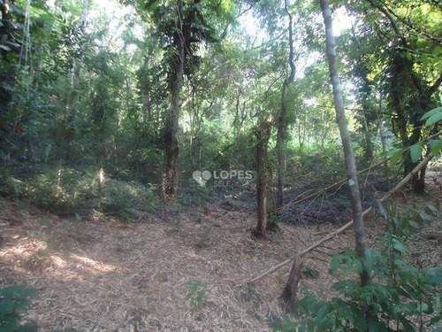 Imagem 11 de 14 de Terreno À Venda, 1162 M² Por R$ 90.000,00 - Mata Paca - Niterói/rj - Te3155