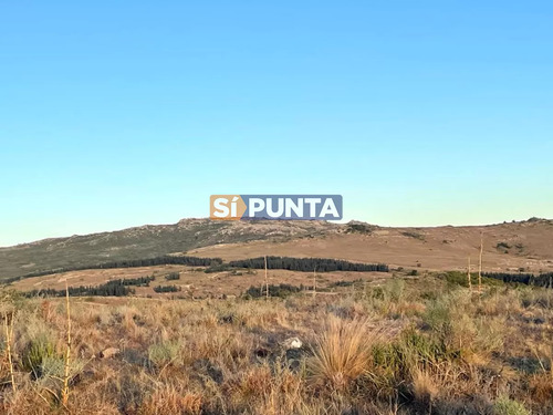 Campo En Venta, Las Cañas, Maldonado