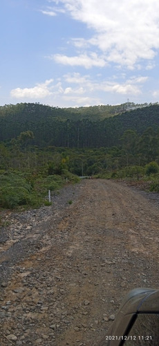 Imagem 2 de 30 de 01- Terrenos Com Aguá A 1 Hora Da Capital Com Moradores Construindo No Local !