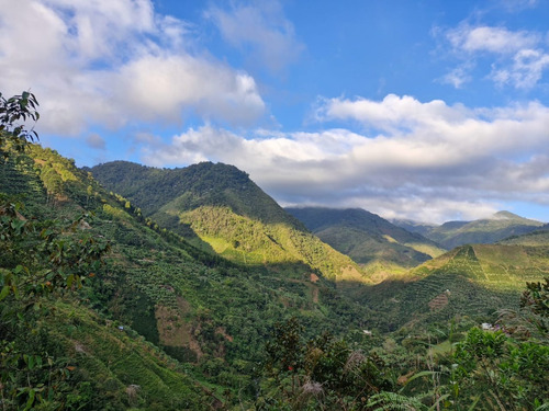Lote Con Hermosa Vista - Jardín, Antioquia