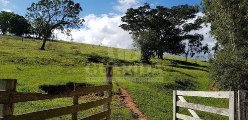 Imagem 1 de 15 de Area - Poco Fundo - Ref: 138187 - V-138187