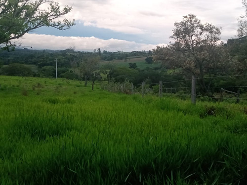 Imagem 13 de 30 de 14 Alqueires Região Angatuba Sp Com Casa Simples Bão Água Luz, Ótima Localização, 10 Km Angatuba Por Estrada Cascalhada Oportunidade... - St00037 - 68969916