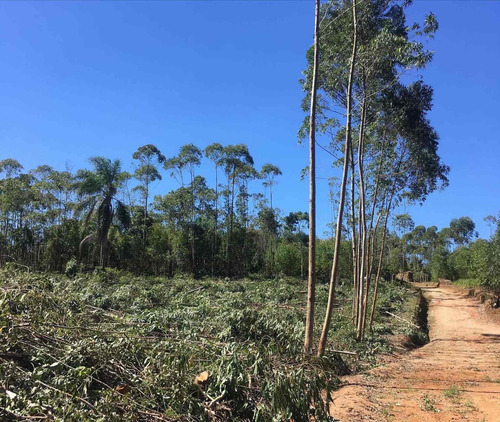 Imagem 7 de 14 de A01- 1500m2 De Terreno Plaino Em Ibiuna!