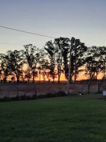 Imagen 4 de 12 de Casa Quinta En Zona Rural, A 10 Minutos Del Centro Laguna