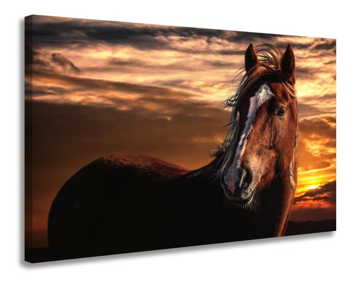 Quadro Decorativo Em Tela Para Sala Quarto Sol Cavalo Grande Cor Preto Cor da armação Borda Infinita