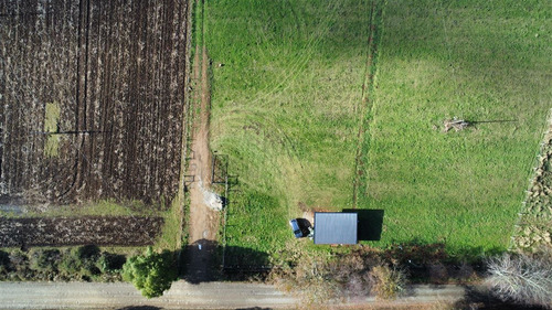 Agrícola En Venta En Paraguay Chico, Comuna De Los Muermos