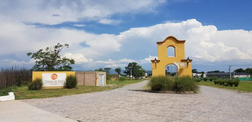 Imagen 1 de 6 de Terreno En Venta B° Solares De Ortiz