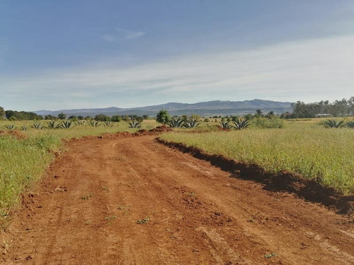 Imagen 9 de 12 de Terreno En Venta San Pablo Ojo De Agua