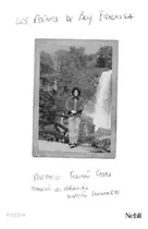 Comprar Los Poemas De Boy Fracassa - Fabian Casas: Postfacio Fabián Casas, Traducción Del Polonés Martín Caamaño, De Casas, Fabián., Vol. 1. Editorial Nebli, Tapa Blanda En Español