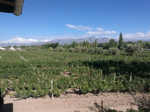 Imagen 4 de 11 de +*promocion*+* Cabañas Cielo Azul En Tierras Del Malbec