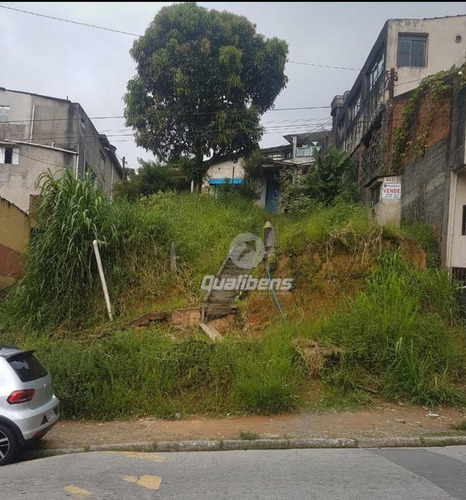 Imagem 2 de 2 de Terreno À Venda, 321 M² Por R$ 280.000,00 - Jardim Itapeva - Mauá/sp - Te0060