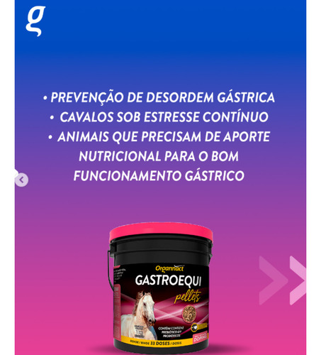 Gastroequi 1 kg Organnact Suplemento Gastroprotetor para Equinos