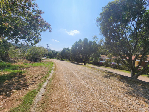 Venta De Lote San Diego 8 Sobre Boulevard Muy Cerca De Las Amenidades Y Del Hotel Del Fracc Rancho San Diego Ixtapan De La Sal Edomex. Se Incluye Proyecto