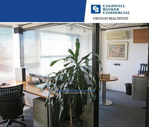 Oficina Punta Carretas Alquiler Venta