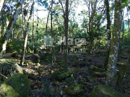 Chácara À Venda Em Guabiruba/sc - 1518c