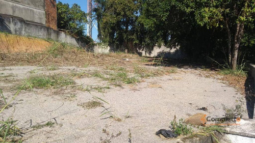 Imagem 8 de 14 de Terreno À Venda, 6000 M² Por R$ 4.000.000 - Taquara. - Te0025