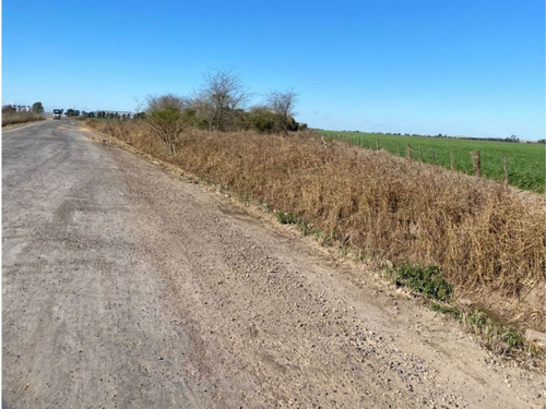 Campo 7.8hs. Rural/industrial En Timbúes Sobre Ingreso A Puertos
