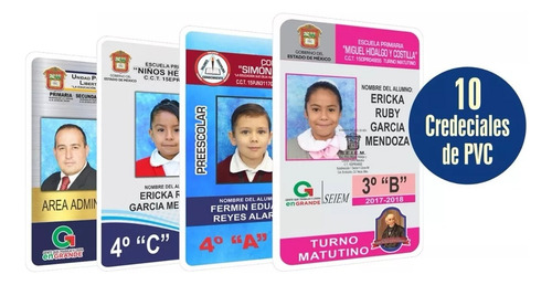5 Credencial De Pvc A Todo Color Ambos Lados