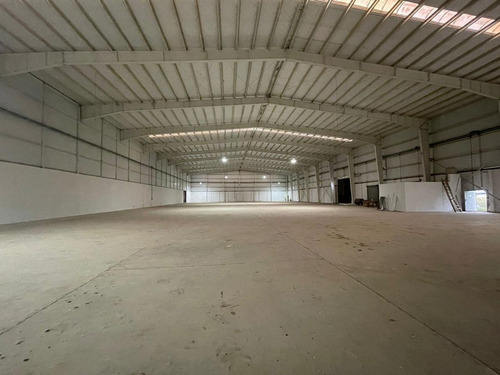 Imagen 18 de 30 de Fracción Industrial 26 Ha. Galpón 12.800 M² Cub. - Carlos Spegazzini