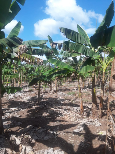 Se Vende Hermosa Finca En Monte Plata.