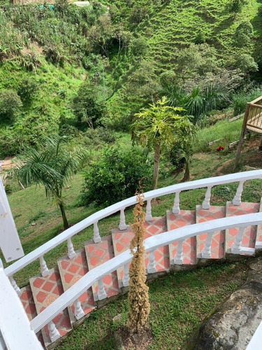 Cómoda Finca En Barbosa