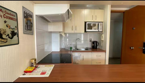 Departamento Amoblado En Alameda De Talca