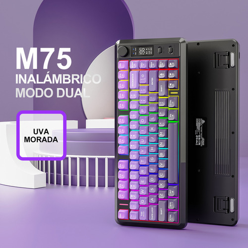 Teclado Free Wolf M75 Rgb Inalámbrico Bluetooth Con Pantalla Violeta