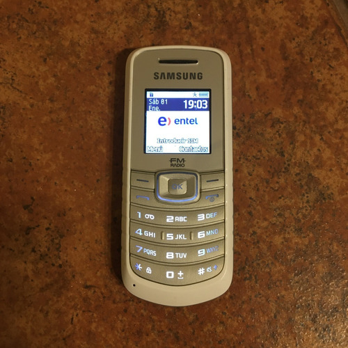 Celular Samsung Gt-e1086i Radio Fm Con Cargador Para Reparar