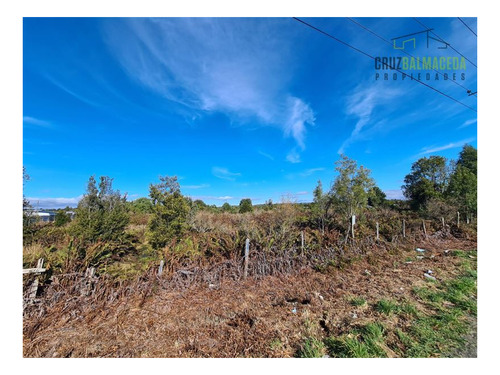 Imagen 3 de 10 de Agrícola En Venta En Puerto Montt