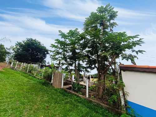 Sítio Completo À Venda Em Santa Isabel/sp 7.500m2 R$950.000